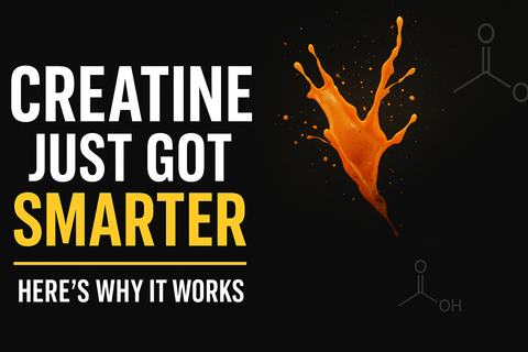 Why Acetic Acid and Creatine Are a Perfect Match for Strength, Performance, and Longevity