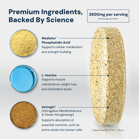 PA(7) Mediator mTOR Elevation