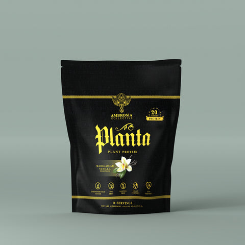 Planta® - Premium Plant Protein (14 Servings)
