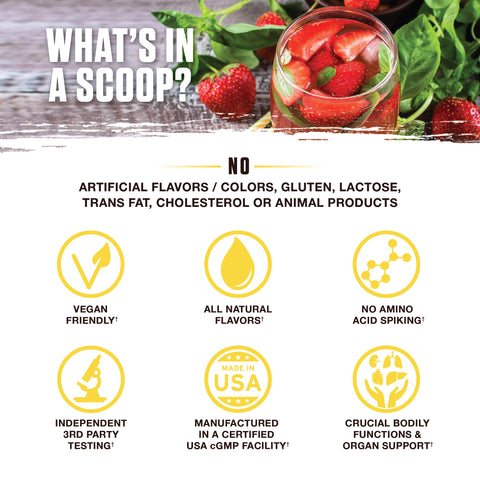 Strawberry Basil Gallery