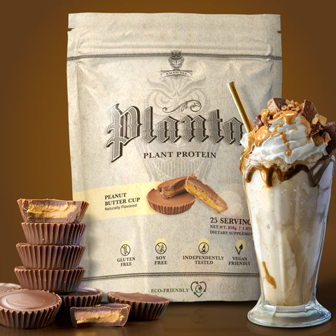 Peanut Butter Cup Gallery