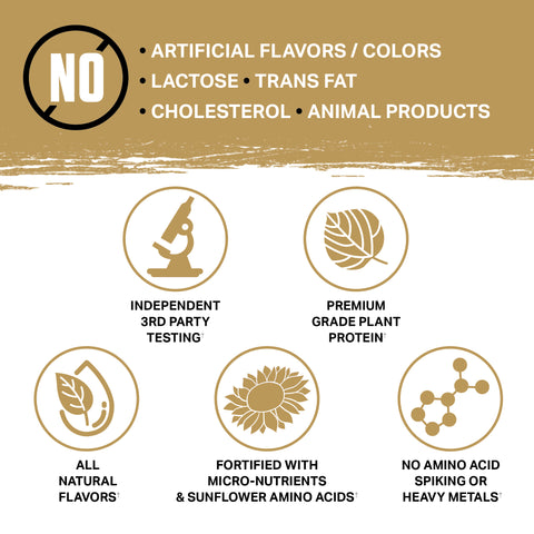 Campfire S'mores Gallery