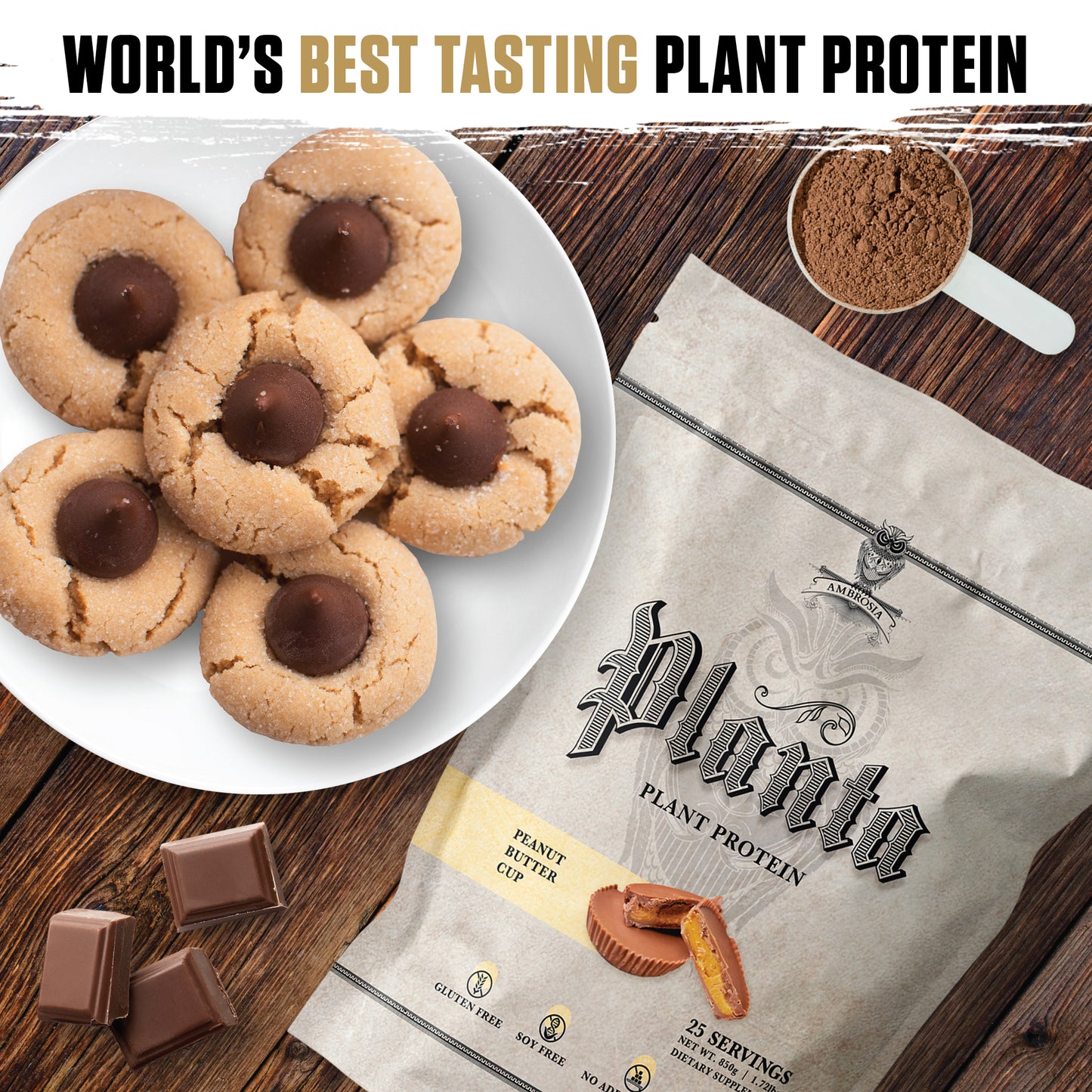 Peanut Butter Cup Gallery