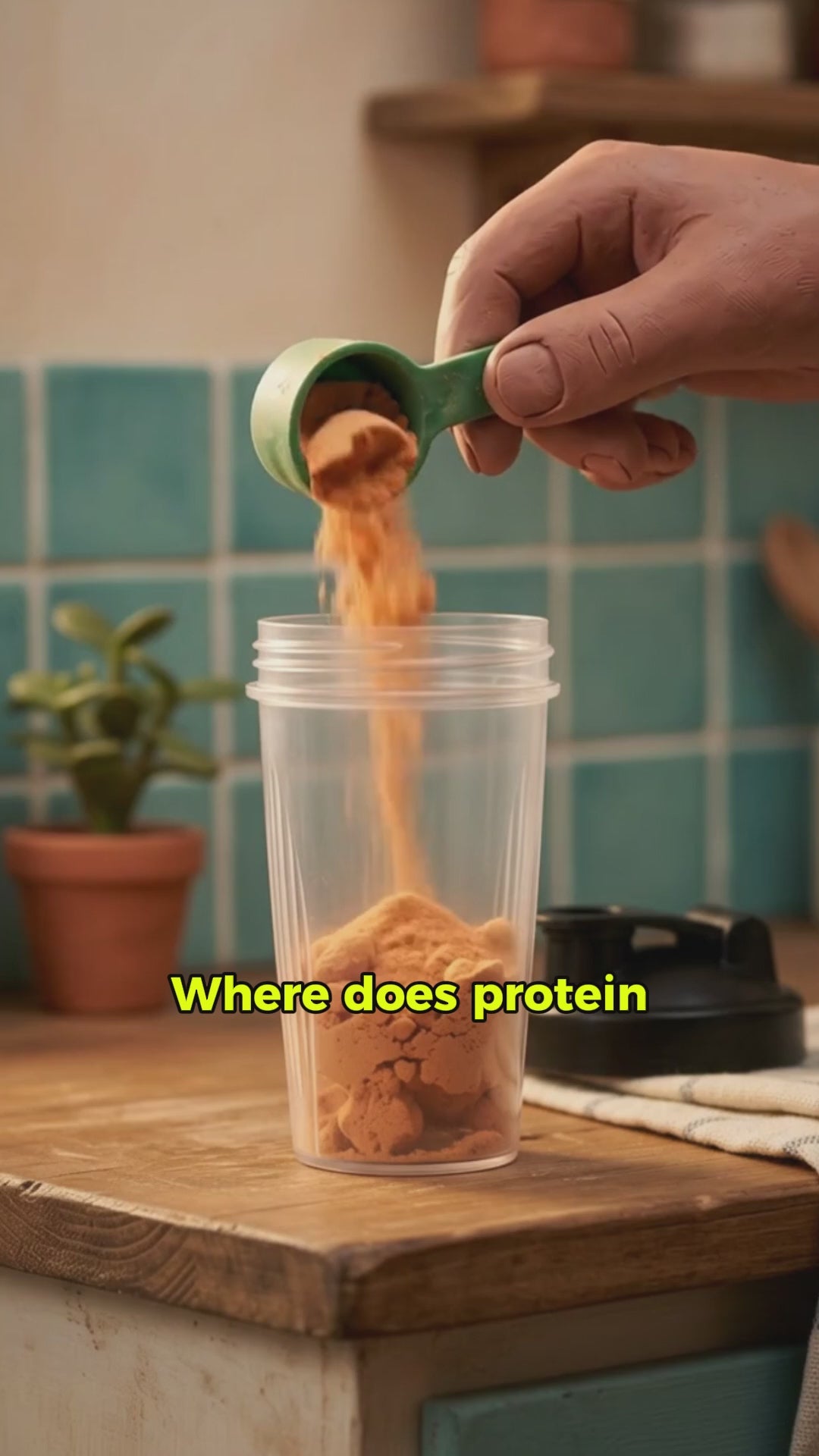 protein video